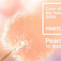 15 Yarns To Celebrate Pantone’s 2024 Color of the Year – ‘Peach Fuzz’
