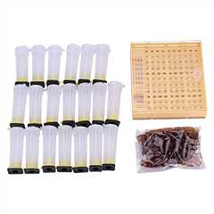 Wifehelper Beekeeping Queen Rearing Kit: Cultivate with Ease