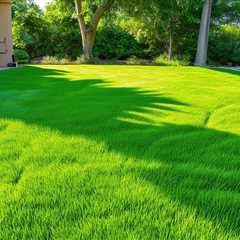5 Optimal Grass Heights for Summer Lawn Health