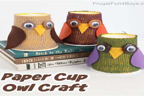 Adorable Paper Cup Owl Craft