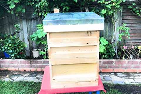 Tika Beehive: British Standard, White Pine, Metal Roof