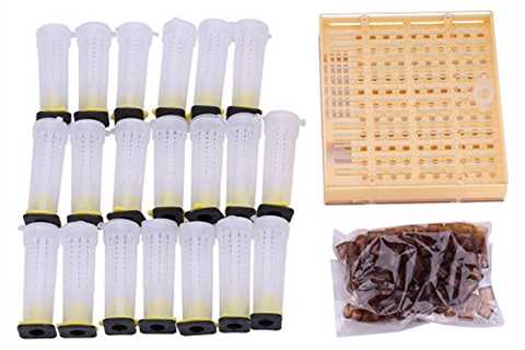 Wifehelper Beekeeping Queen Rearing Kit: Cultivate with Ease