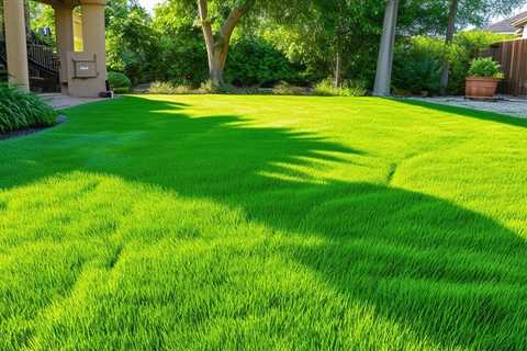 5 Optimal Grass Heights for Summer Lawn Health