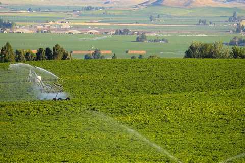 Agriculture in Canyon County, ID: A Look at the Percentage of Land Used for Farming