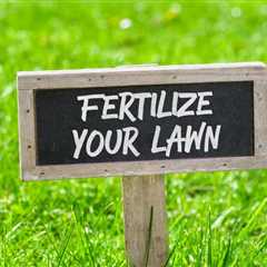 Why Does Your Lawn Need a Seasonal Fertilization Plan?