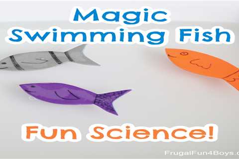 Make a Fish Swim with Soap