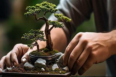 The Best Time to Prune a Bonsai Tree in Honolulu