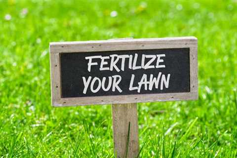 Why Does Your Lawn Need a Seasonal Fertilization Plan?