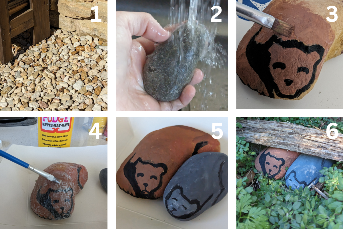 Painted Rock Art for Fun Hibernation Lesson for Kids