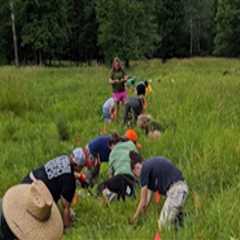 The Challenges of Plant Conservation in Anoka County, MN