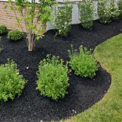 Exploring the Landscaping Services Available in Camden County, New Jersey