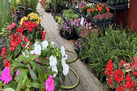 Landscaping in Camden County, New Jersey: The Best Plants and Flowers for a Thriving Garden