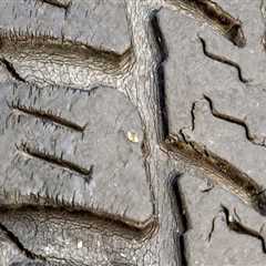 Protecting Against UV Damage for Your Vehicle's Exterior and Tires