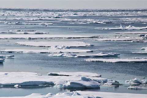 The Polar Retrospective – An Icelandic exhibition in Greenland, the history of the most important..