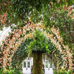 A Walk Through Nature’s Masterpiece: The Allure of Botanical Gardens