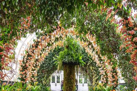 A Walk Through Nature’s Masterpiece: The Allure of Botanical Gardens