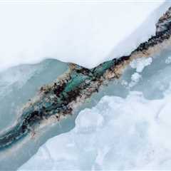 Antarctica’s sea ice is changing, and so is a vital part of the marine food web that lives within it