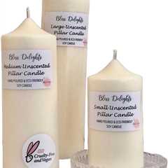 Bliss Delights Unscented Soy Pillar Candles - Eco-Friendly & Vegan Set of 3