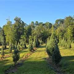 The Impact of Agriculture and Forestry in Gulfport, MS