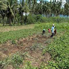 The Vital Role of Agriculture and Forestry in Ensuring Food Security in Gulfport, MS