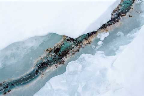 Antarctica’s sea ice is changing, and so is a vital part of the marine food web that lives within it
