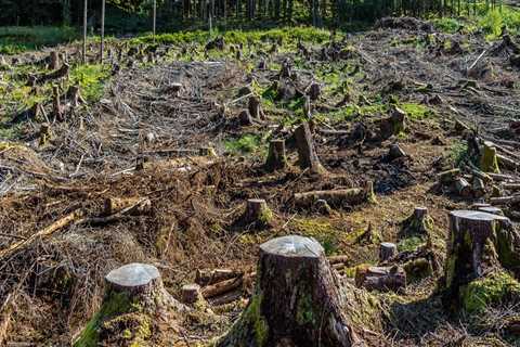 The Impact of Geography on Agriculture and Forestry in Gulfport, MS: An Expert's Perspective