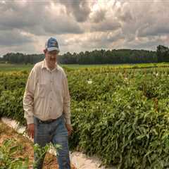 Preparing Farms in Southern Mississippi for Natural Disasters