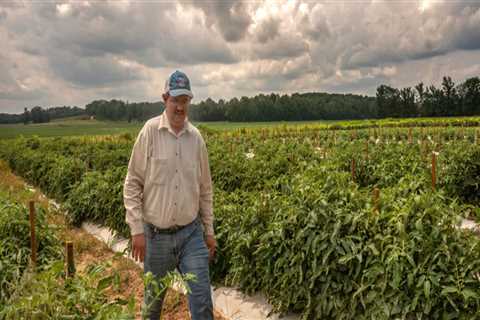 Preparing Farms in Southern Mississippi for Natural Disasters