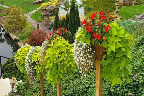 A Walk Through Tranquility: Why Botanical Gardens Are Must-Visit Destinations
