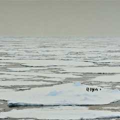 Do Marine Protected Areas in Polar Oceans Actually Work?