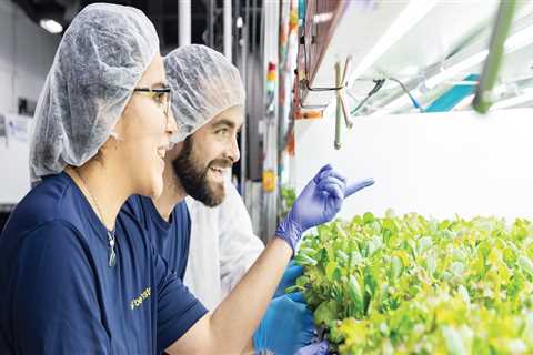 The Vital Role of Agriculture in Fairfax County, Virginia