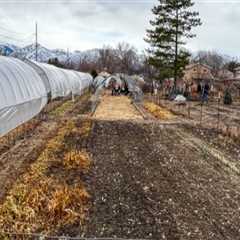 The Resilient Farmers of Salt Lake County, Utah