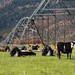 The Struggles of Farming in Salt Lake County, Utah