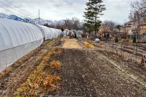 The Resilient Farmers of Salt Lake County, Utah