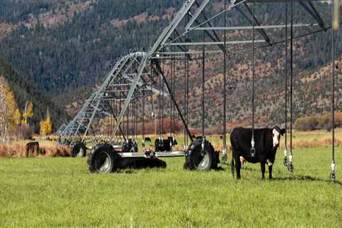 The Struggles of Farming in Salt Lake County, Utah
