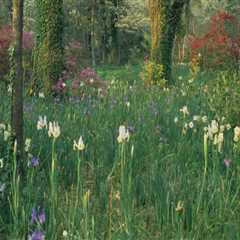 The Role of Botanical Gardens in Conservation and Research