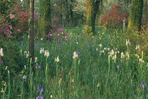 The Role of Botanical Gardens in Conservation and Research