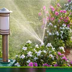 Expert Tips for Water Conservation in Pinal County, Arizona