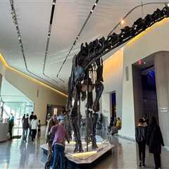 Exploring Temporary Exhibits in Northeast Ohio: Your Ultimate Guide