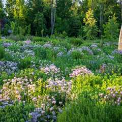 Moving Near Nature: How Botanical Gardens Enhance Your New Lifestyle