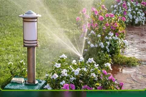 Expert Tips for Water Conservation in Pinal County, Arizona
