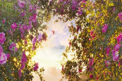 The Importance of Supporting and Donating to Gardens in Wilder, Kentucky