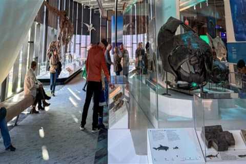 A Comprehensive Guide to Unique Exhibit Locations in Northeast Ohio