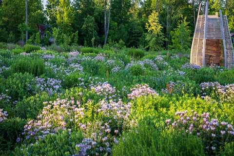 Moving Near Nature: How Botanical Gardens Enhance Your New Lifestyle