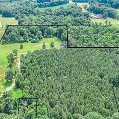 Understanding the Average Cost of Farming Land in Waxhaw, North Carolina