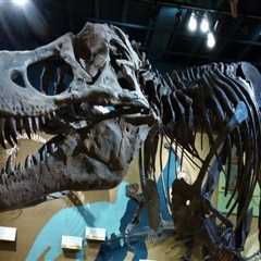 History Exhibits in Northeast Ohio + What Older Homes Need From Their Garage Doors