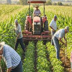 Harnessing Intercropping for Sustainable Gardening Practices