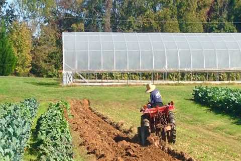 Exploring Community-Supported Agriculture Programs in Waxhaw, North Carolina: A Guide to Local..