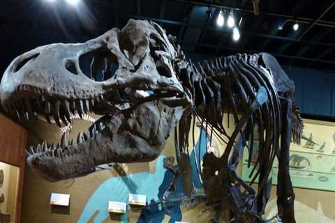 History Exhibits in Northeast Ohio + What Older Homes Need From Their Garage Doors