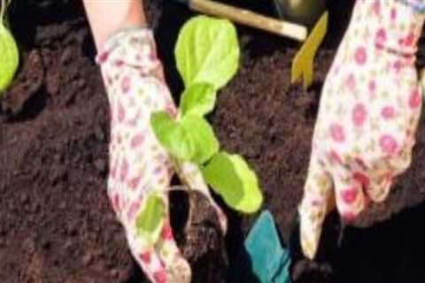 Embracing Sustainable Garden Practices for a Greener Future